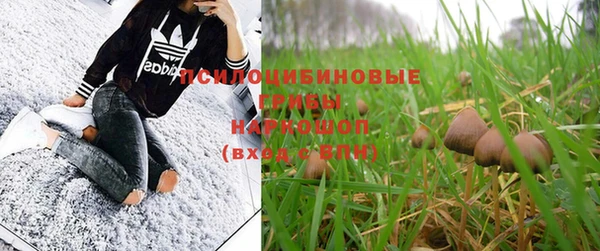 ешки Абинск
