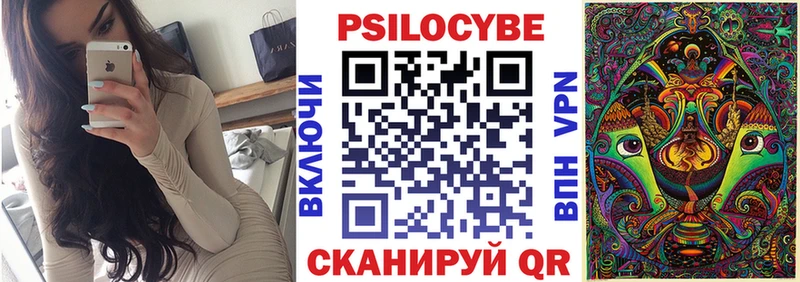 где найти наркотики  Пучеж  Псилоцибиновые грибы прущие грибы 